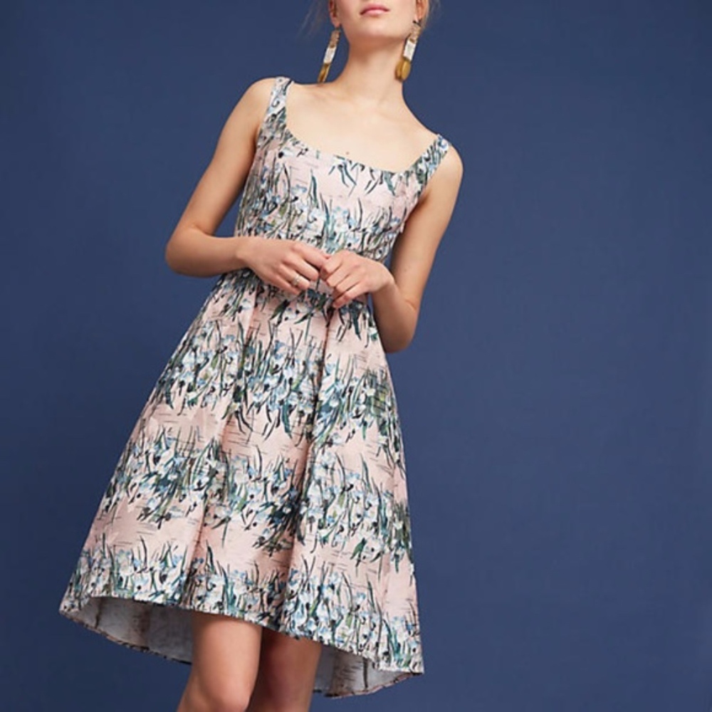 Anthropologie Floral Jacquard Dress Eva Franco